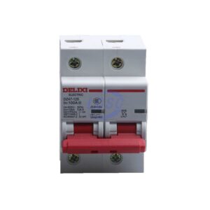 Delixi Electric DZ471252D100