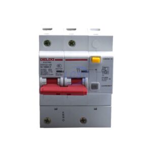 Delixi Electric DZ47LE1252D100