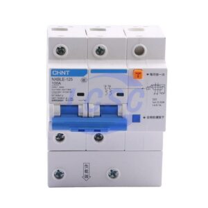 CHINT NXBLE-125 2P D100 30mA