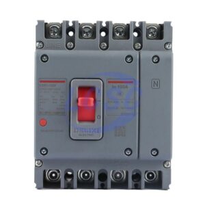 Delixi Electric M3100F100A300