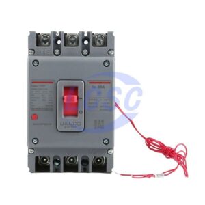 Delixi Electric M3100F503310A