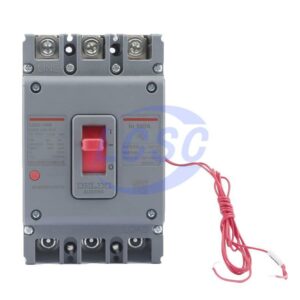 Delixi Electric M3100F1003310A