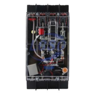Delixi Electric DZ15LE100T1004Y
