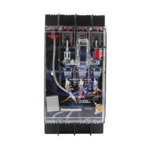 Delixi Electric DZ15LE100T634S