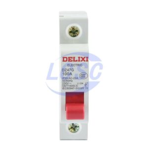 Delixi Electric DZ47G 1P 100A