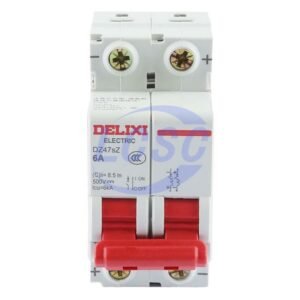 Delixi Electric DZ47SZ2C6