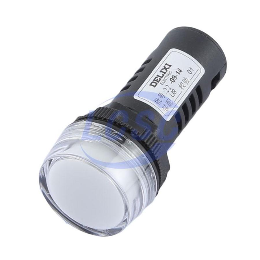 20230504 delixi electric ld1122a41q7 c5149726 blank.jpg