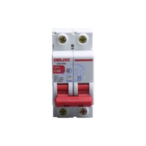 Delixi Electric DZ47V2C40