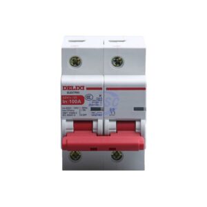 Delixi Electric DZ47V1252D100