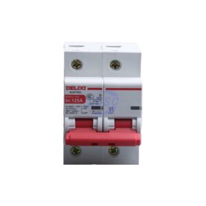 Delixi Electric DZ47V1252D125