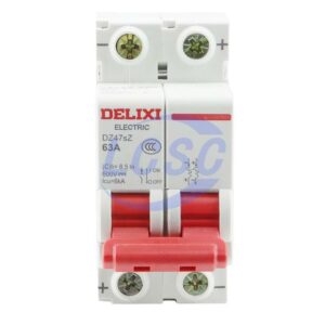 Delixi Electric DZ47SZ2C63