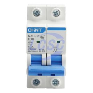CHINT NXB-63 2P D10A