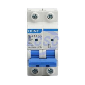 CHINT NXB-63 2P D6A