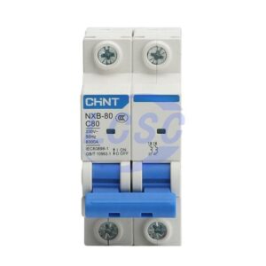 CHINT NXB-80 2P C80