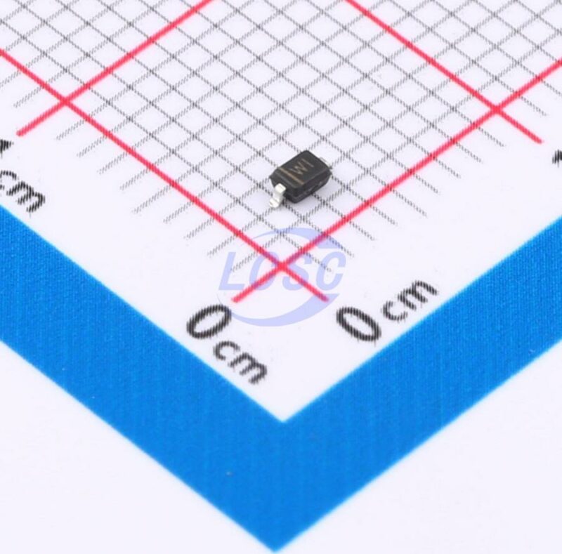 20230526 born bzt52c13s c6165151 front.jpg