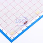 20230605 holly 20s 100l c6387910 back.jpg