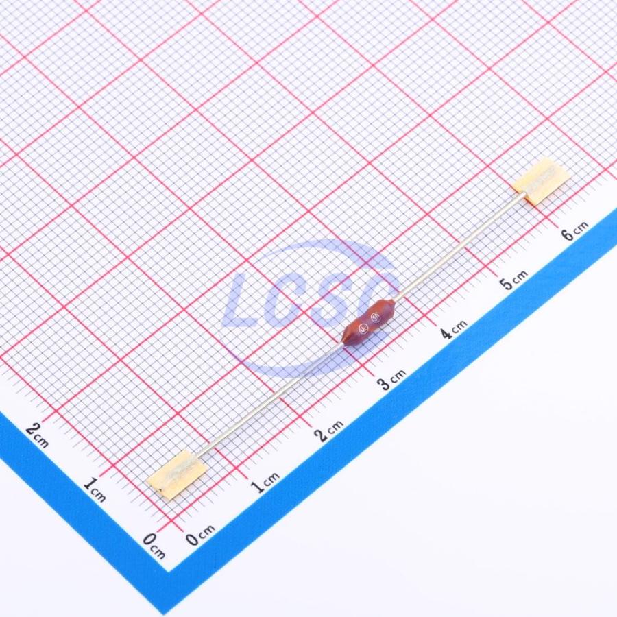 20230605 holly 20s 100l c6387910 back.jpg