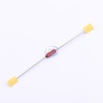 20230605 holly 20s 100l c6387910 blank.jpg