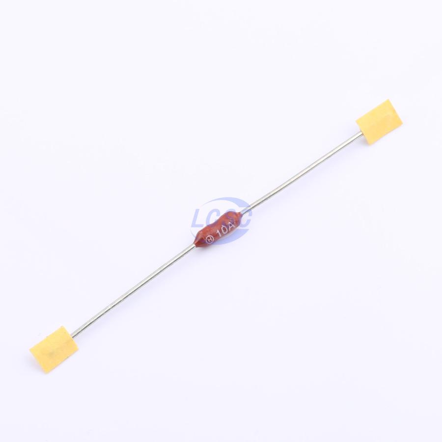 20230605 holly 20s 100l c6387910 blank.jpg