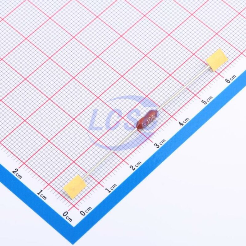 20230605 holly 20s 100l c6387910 front.jpg