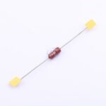 20230605 holly 25s 020h c6387897 blank.jpg