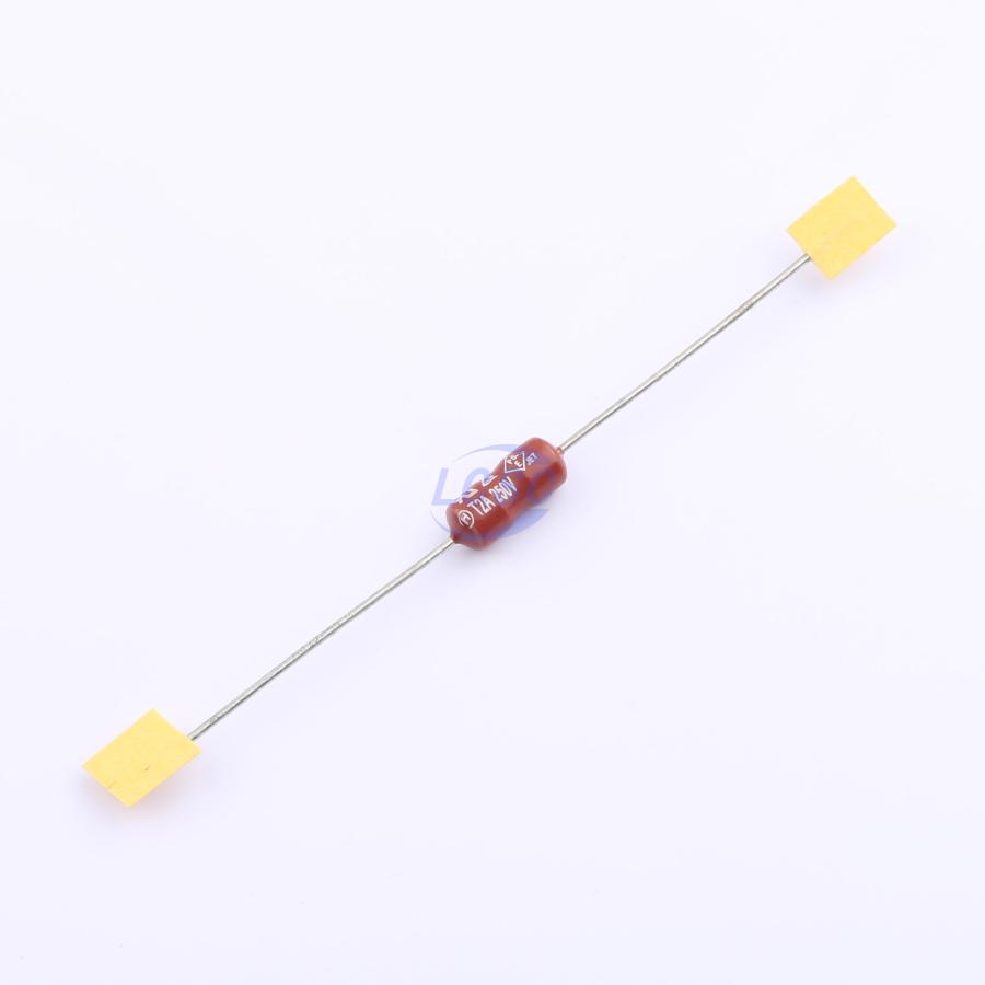 20230605 holly 25s 020h c6387897 blank.jpg