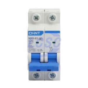 CHINT NXB-63 2P C20A