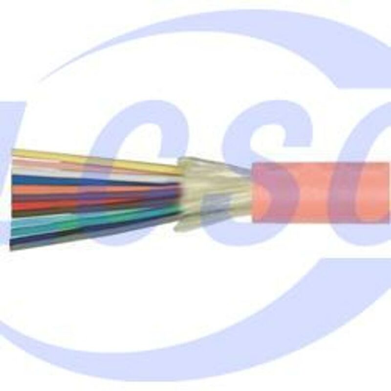 20230624 l com fob500d12 m c6429354 front.jpg