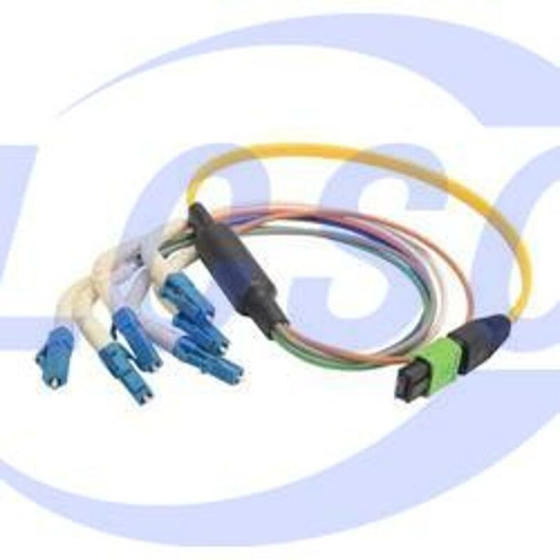 20230625 l com mpm6s flc 5 c6434232 front.jpg