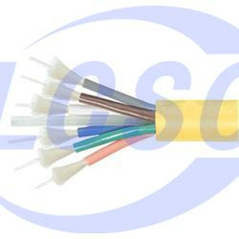 20230626 l com fobbisngb6 m c6439586 front.jpg