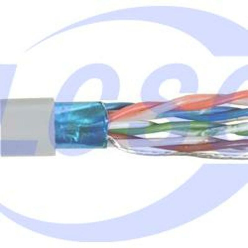 20230626 l com tfc2004 100 c6436854 front.jpg