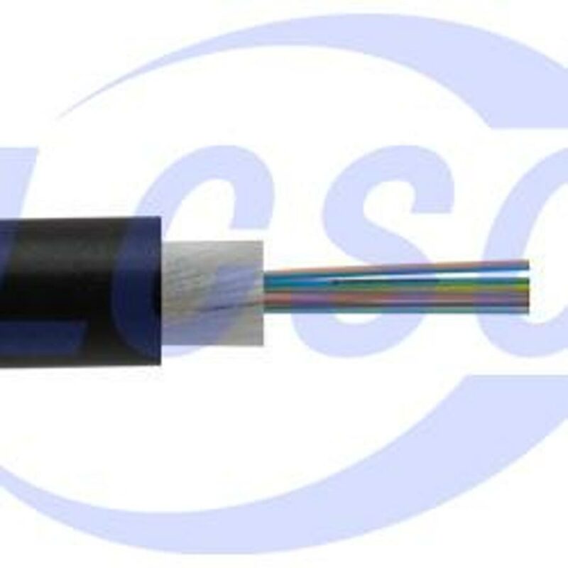 20230627 l com fob io sm16f6dz m c6444997 front.jpg