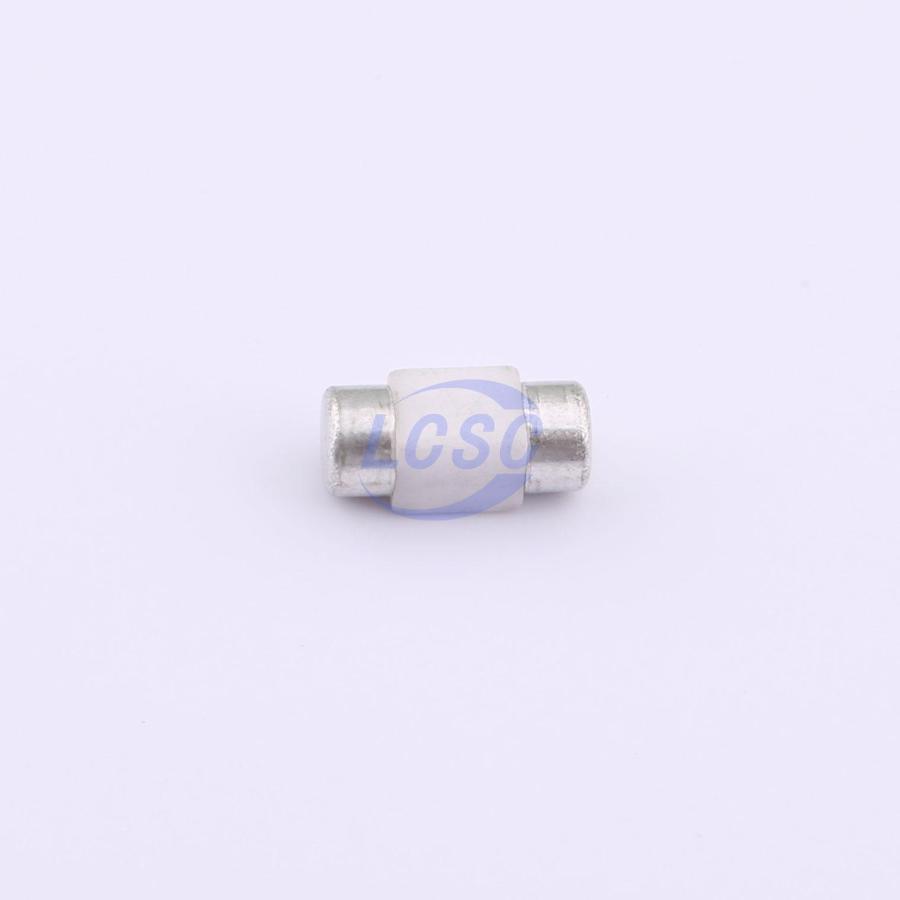 20230908 holly 25f 150l2 c6387887 blank.jpg