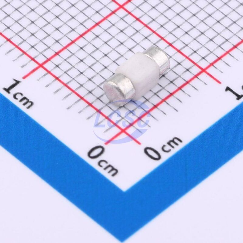 20230908 holly 25f 150l2 c6387887 front.jpg