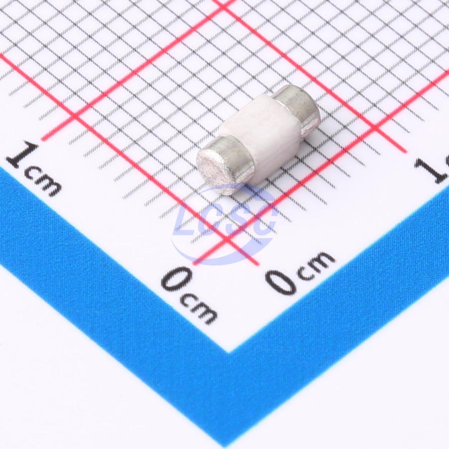 20230916 holly 25t 030l c6387893 back.jpg