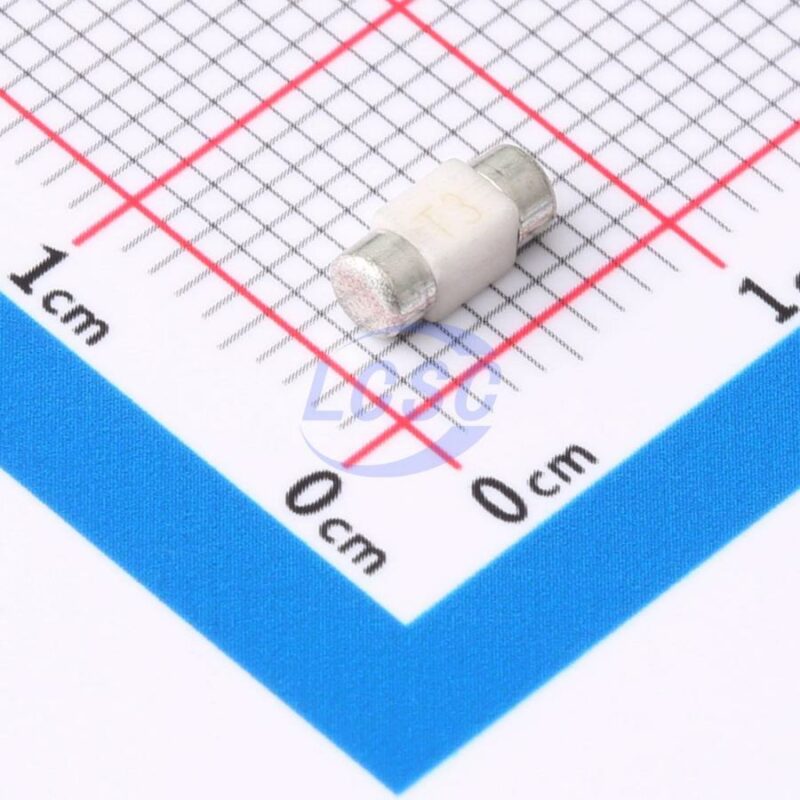 20230916 holly 25t 030l c6387893 front.jpg