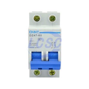 CHINT DZ47-60 2P C25