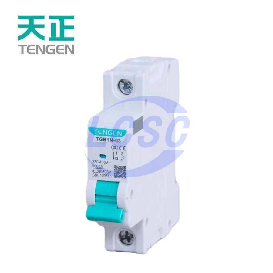 20231115 tengen tgb1n 63 1p c32 c5159138 back.jpg