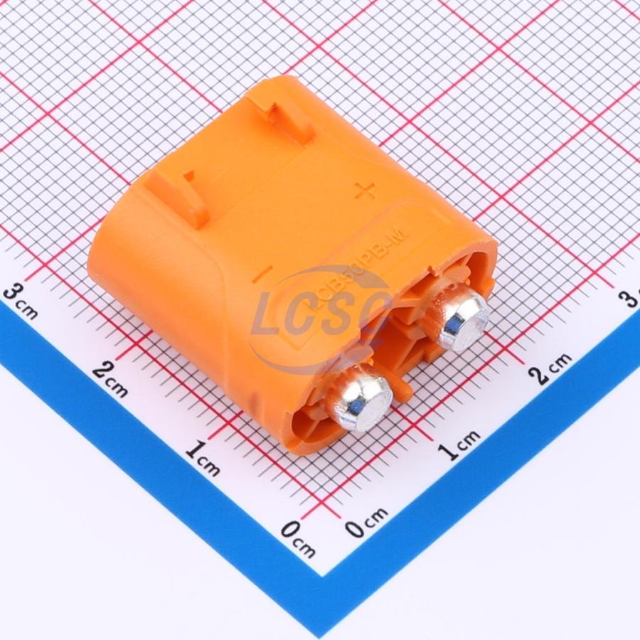 20231223 changzhou amass elec lcb50pb m c7437315 back.jpg