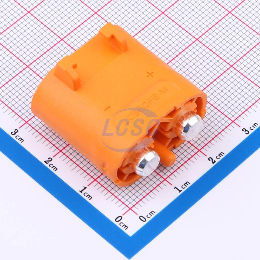 20231223 changzhou amass elec lcb60pb m c7437319 back.jpg