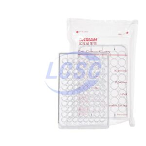 BKMAMLAB 110303003