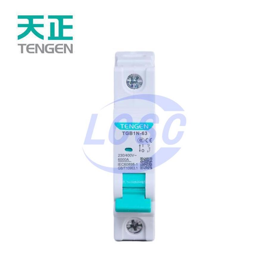 20231226 tengen tgb1n 63 1p c10 c5159134 back.jpg