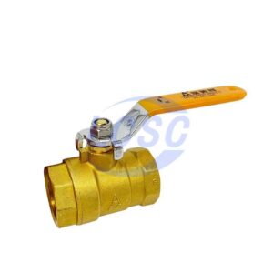 AMICO Q11F-20T-DN15