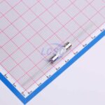 20240229 holly 50ct p 032h c6387904 back.jpg