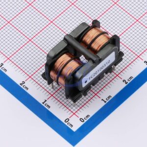 FANGCHENG FC20100310