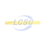 20240628 dongguan salipt s 901 9mm ye 100m c130974 back.jpg