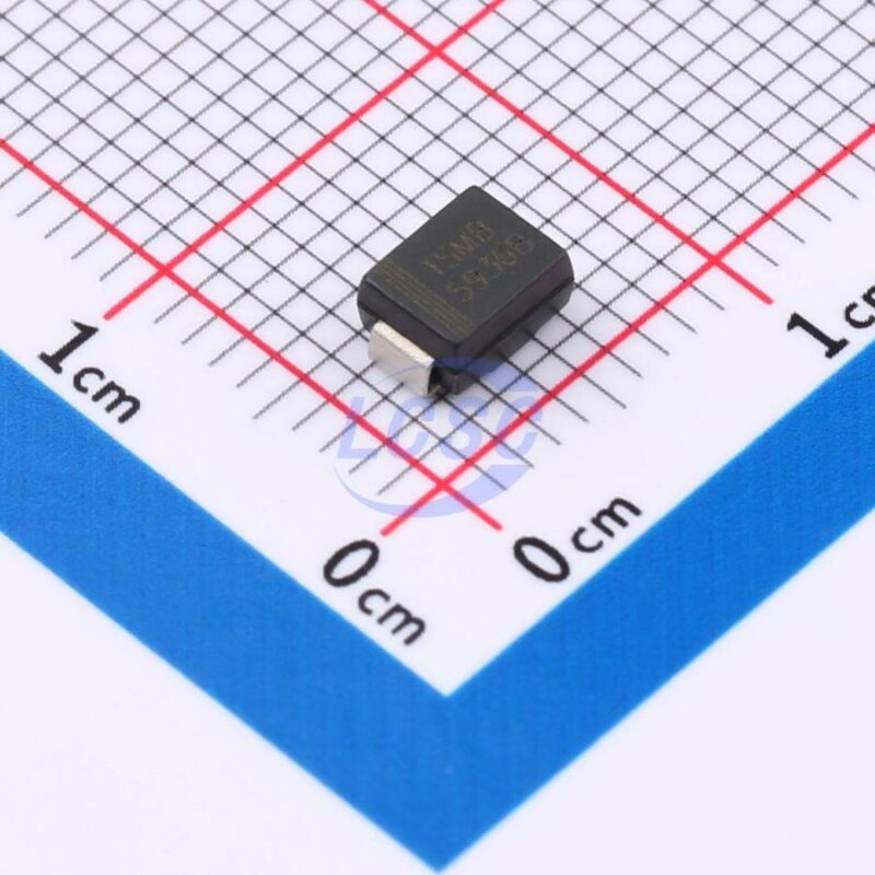 20240719 born 1smb5936b c22387587 front.jpg