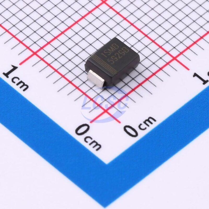 20240816 born 1smb5929b c22387583 front.jpg