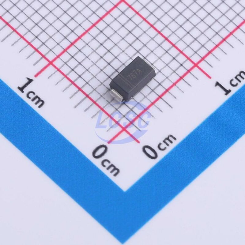 20240829 twgmc 1sma4767a c4154540 front.jpg