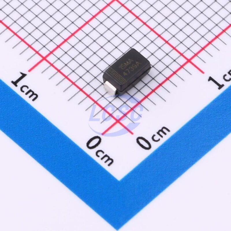 20241011 born 1sma4739a c22387565 front.jpg